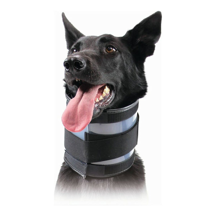 V13HCC9995C26B0A57C8ABC8693F7333877CR4073050P1