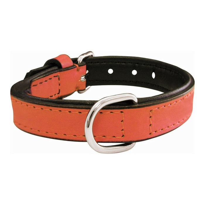 V11H454FFFE081AE42272C518476B9CE5953R4960491P1