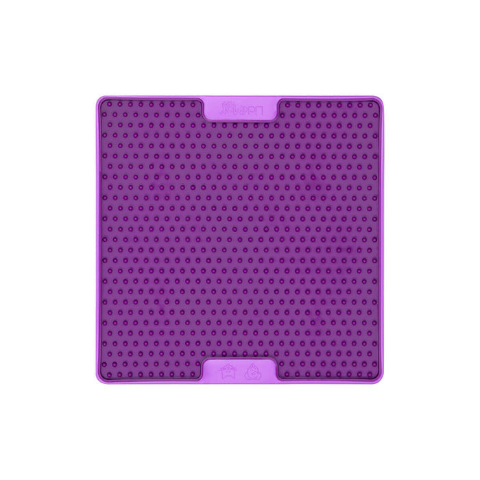 V6HA1975FF0CDC04B00F47CB0B8E9E0392DR4438086P2