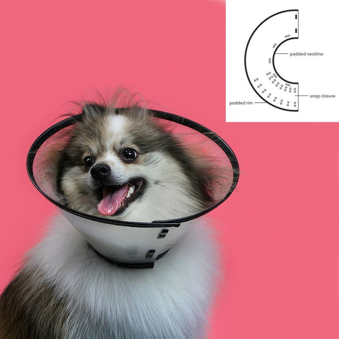 V11HD3166358BE5BC556652F39A9C20764F7R4103277P3