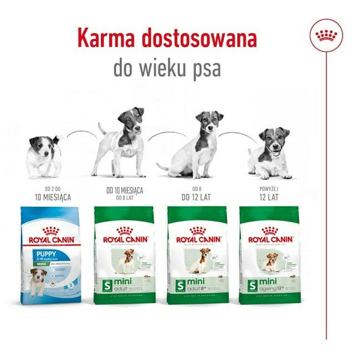 V6H7FD27A5916DB07FB91DF520A0875339AR4930389P3