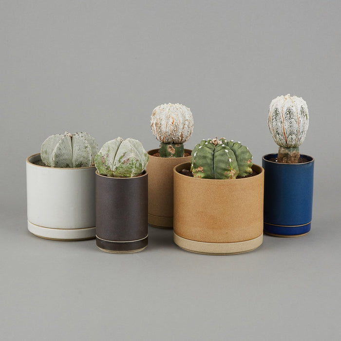 HPM044 - Planter Gloss Gray ø 3.3/8" - tortoise general store