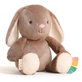 Itzy Ritzy Sweetie Snuggles™ Billy Taupe Bunny Plush Toy