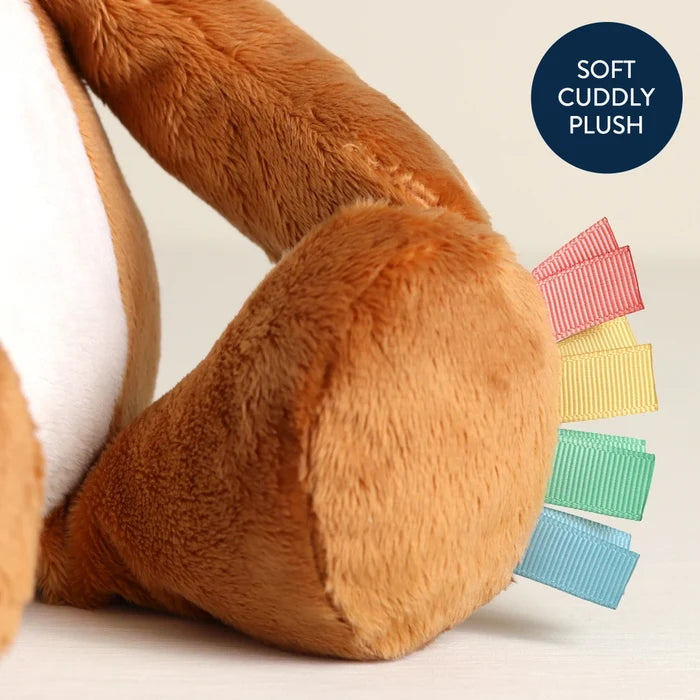 Itzy Ritzy Sweetie Snuggles™ Fox Plush Toy
