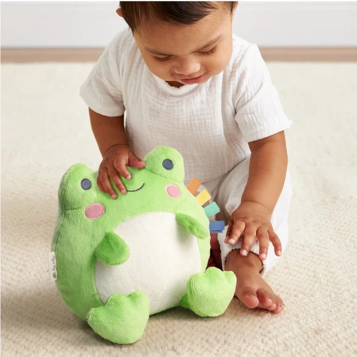 Itzy Ritzy Sweetie Snuggles™ Frog Plush Toy