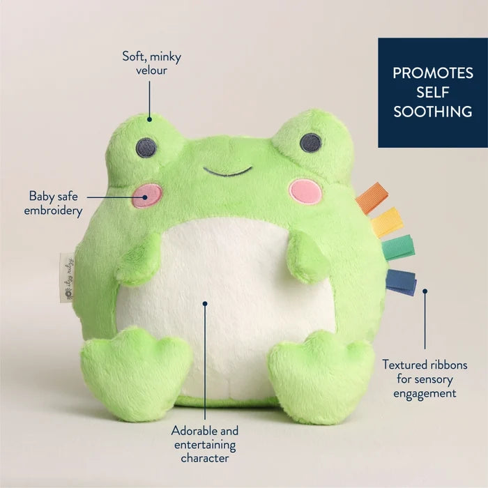 Itzy Ritzy Sweetie Snuggles™ Frog Plush Toy