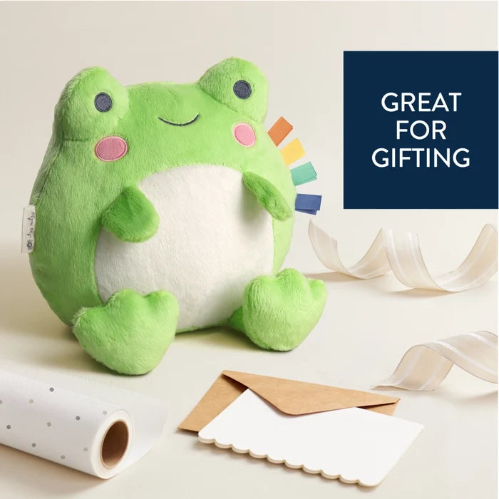 Itzy Ritzy Sweetie Snuggles™ Frog Plush Toy