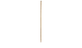 Manche balais LEBORGNE 513160