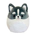 Squishmallow 8 Inch Paolo the Pomsky Plush Toy