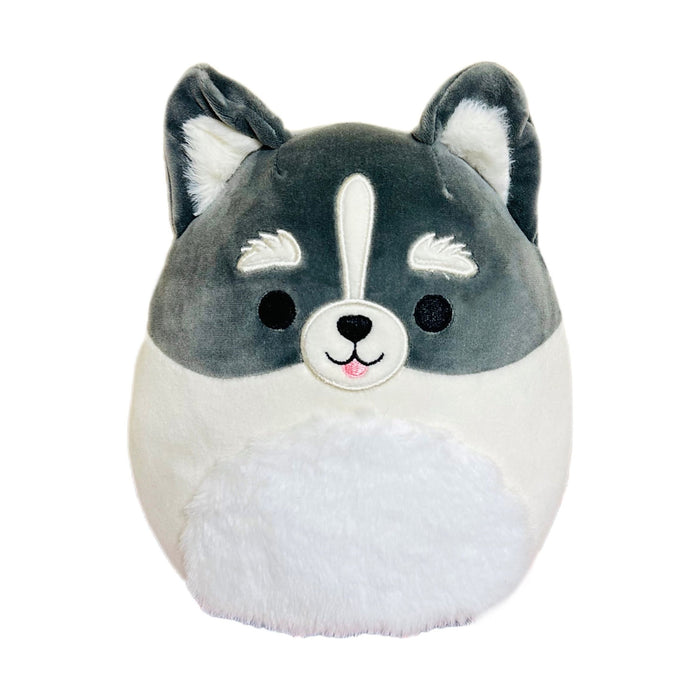Squishmallow 8 Inch Paolo the Pomsky Plush Toy