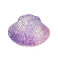 Sugar Gel Squishy 3.5 Inch Sea Shell Maltose Filled Sensory Toy - Assorted