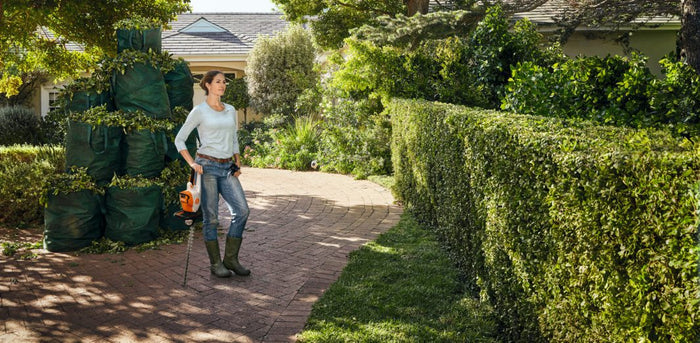 Taille-haie STIHL HSA 50 en action