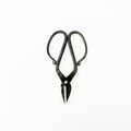 Tajika Branch Scissors - tortoise general store