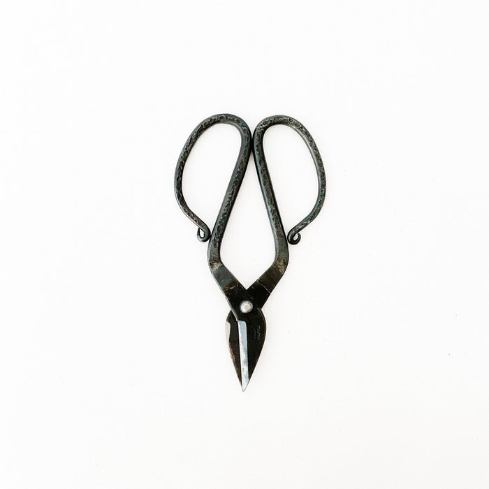 Tajika Branch Scissors - tortoise general store