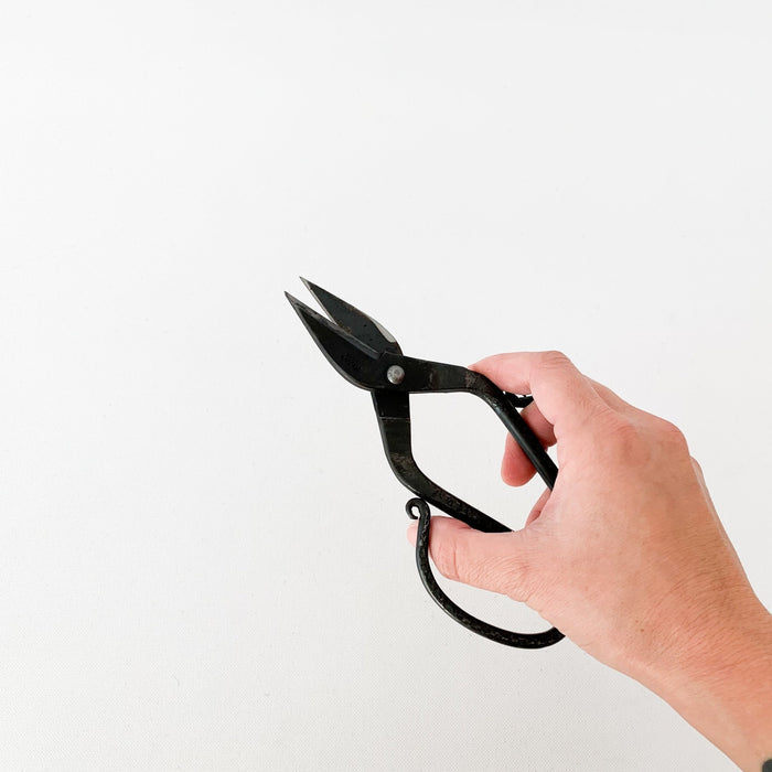 Tajika Branch Scissors - tortoise general store