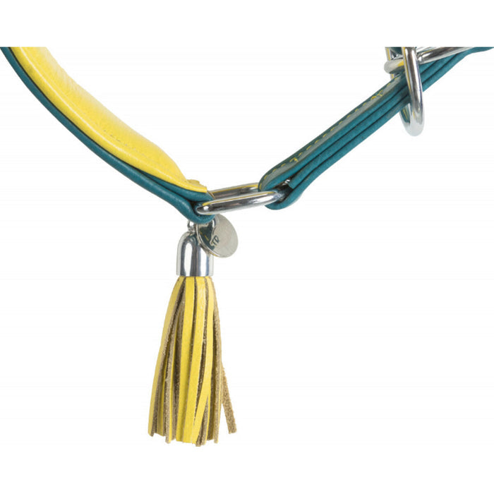 V7H4F44F2A1DC9BDCB2D6D6C6C527190D51R5331462P4